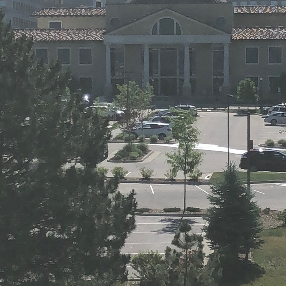 Meet your Posher, David - Picture 1 of 1